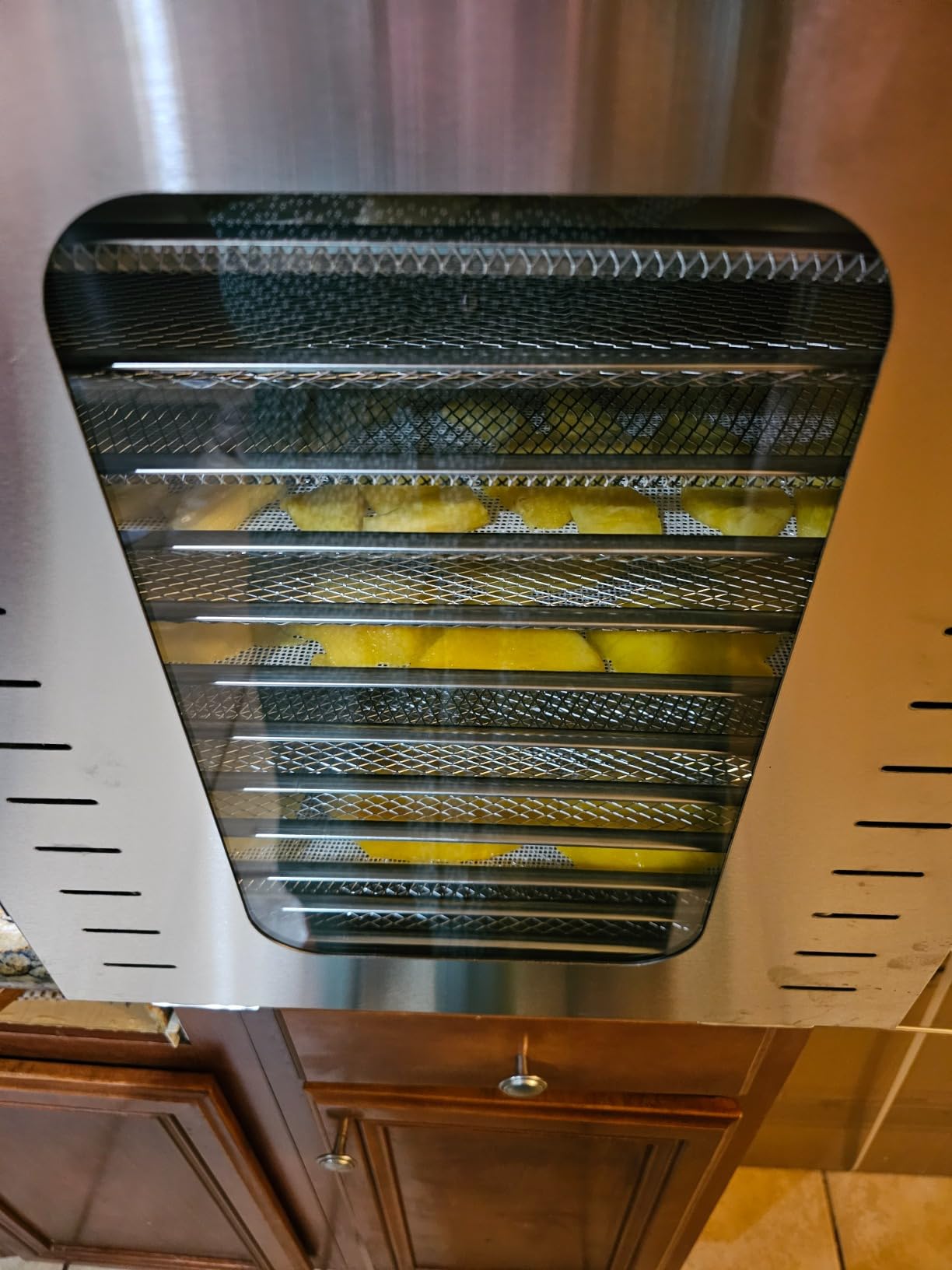 Commercial Large 12 Trays Food Dehydrator, Usable Area up to 22.67ft², 1200W Full Stainless Steel Dryer Machine, up to 190℉ Temperature, for Meat, Fruit, Veggies, Beef, Herbs, Pet Foods customer photo 1
