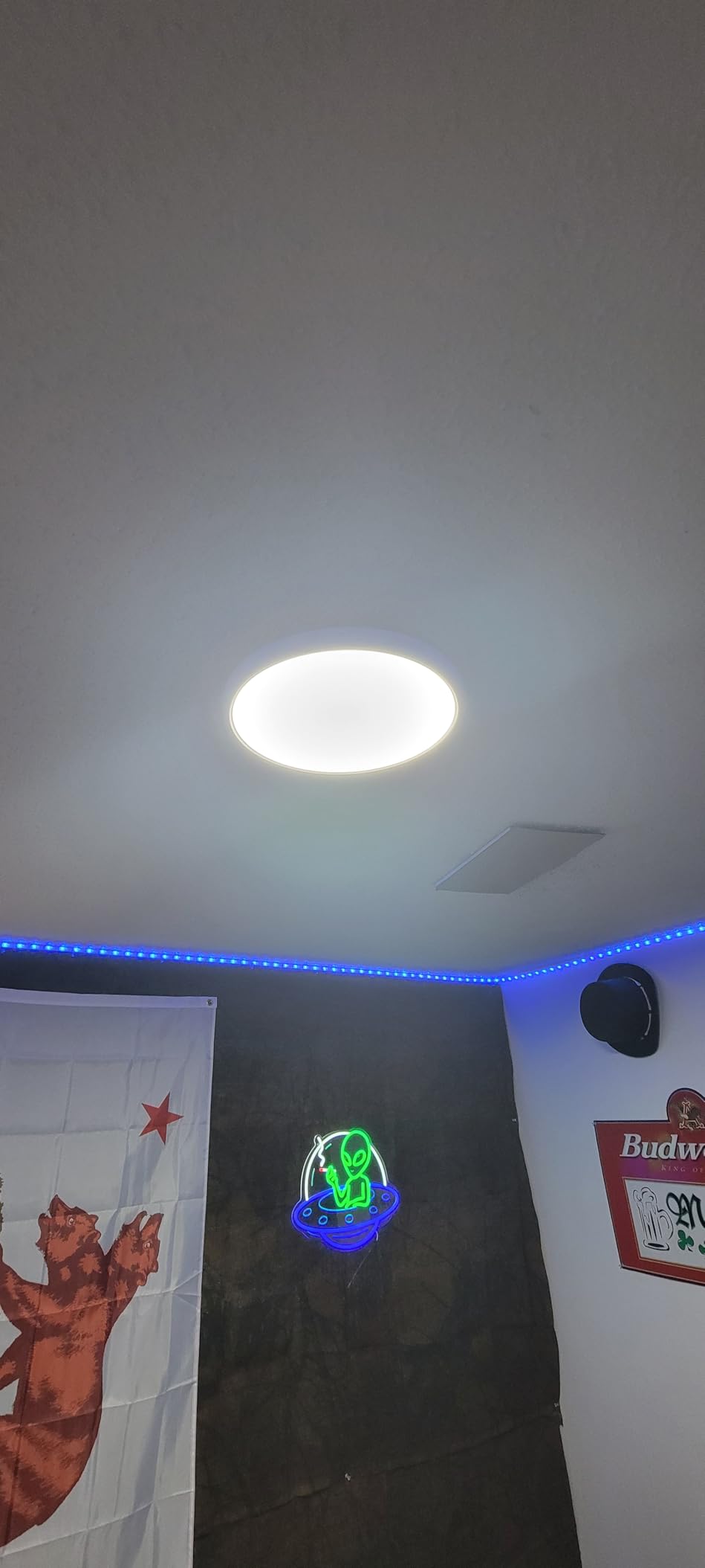 Govee Smart Ceiling Light, RGBIC 2400LM 2700K-6500K 12 Inch 1 Pack White customer photo 1