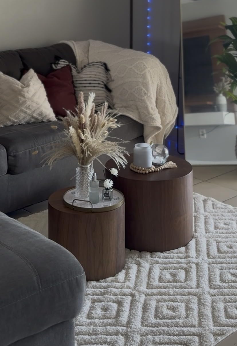 Nesting Coffee Table Set of 2, Modern Round Coffee Table with Non-Slip Feet, Walnut Wooden Circle Accent Tables for Small Spaces Living Room Bedroom Balcony Office Drum Side Table (Walnut) customer photo 1