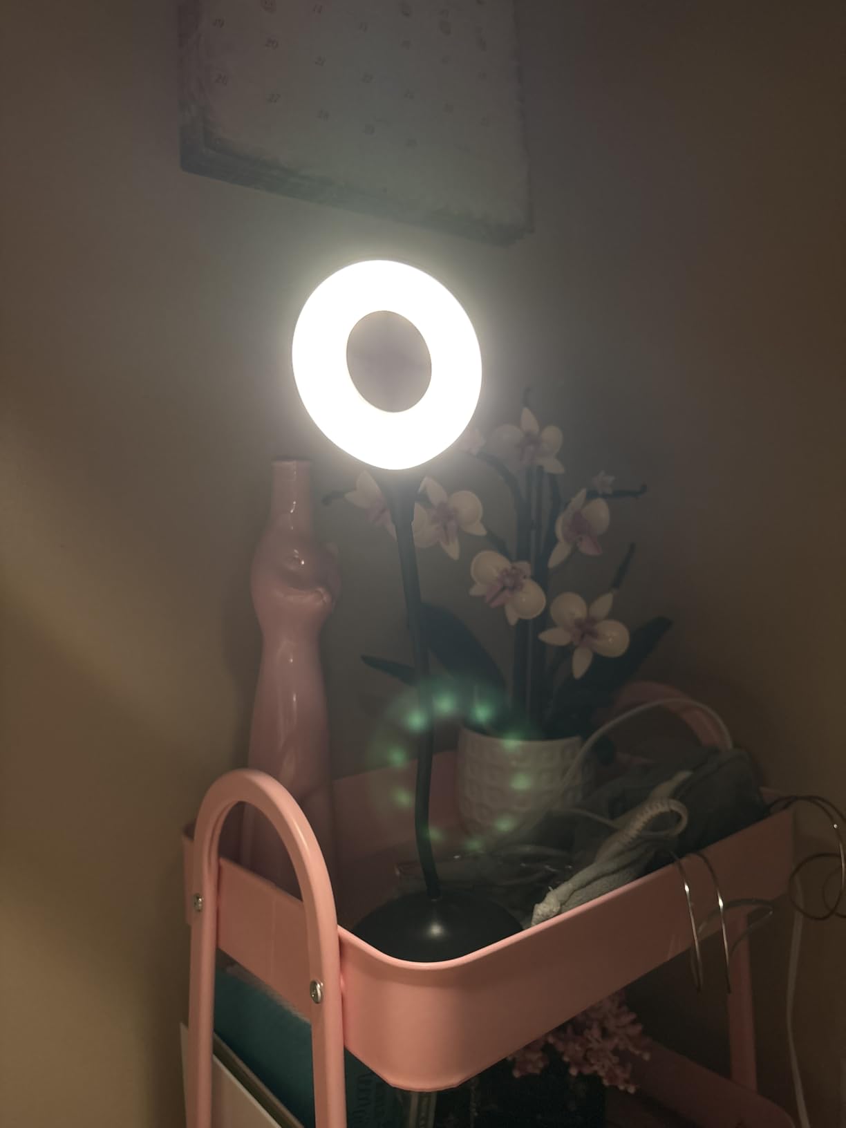 hooga Desk Lamp, Blue Light Blocking, 3 Modes: Amber 1600K, Red, Full-Spectrum 4000K, Dimmable, Rechargeable, Eye Strain Relief, Circadian Friendly customer photo 2