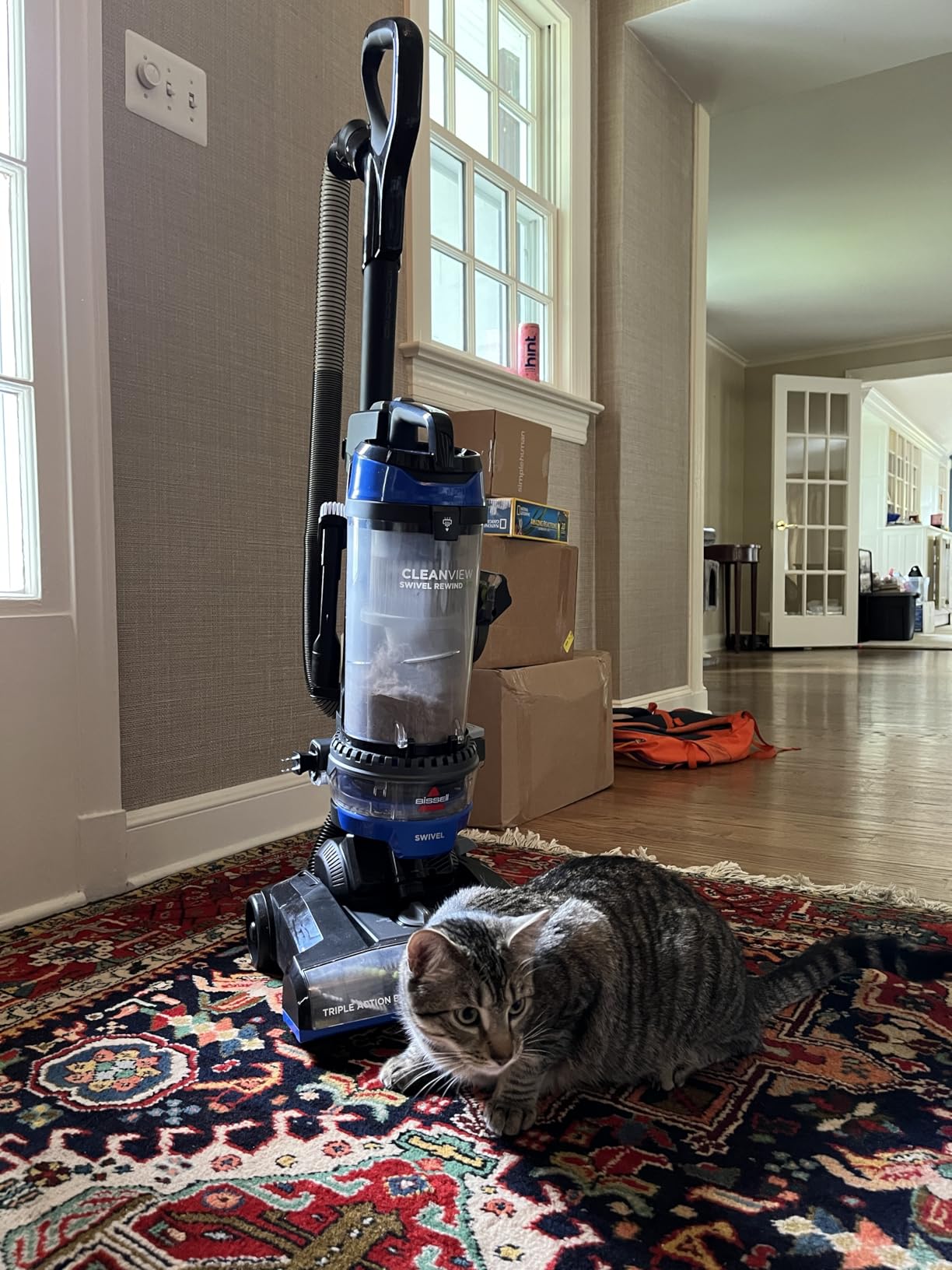 Bissell CleanView Swivel Rewind Vacuum with Automatic Cord Rewind, TurboEraser Upholstery Tool, Triple Action Brush Roll, Swivel Steering, Extension Wand, Easy-Empty Dirt Tank, Multi-Cyclonic Suction customer photo 1