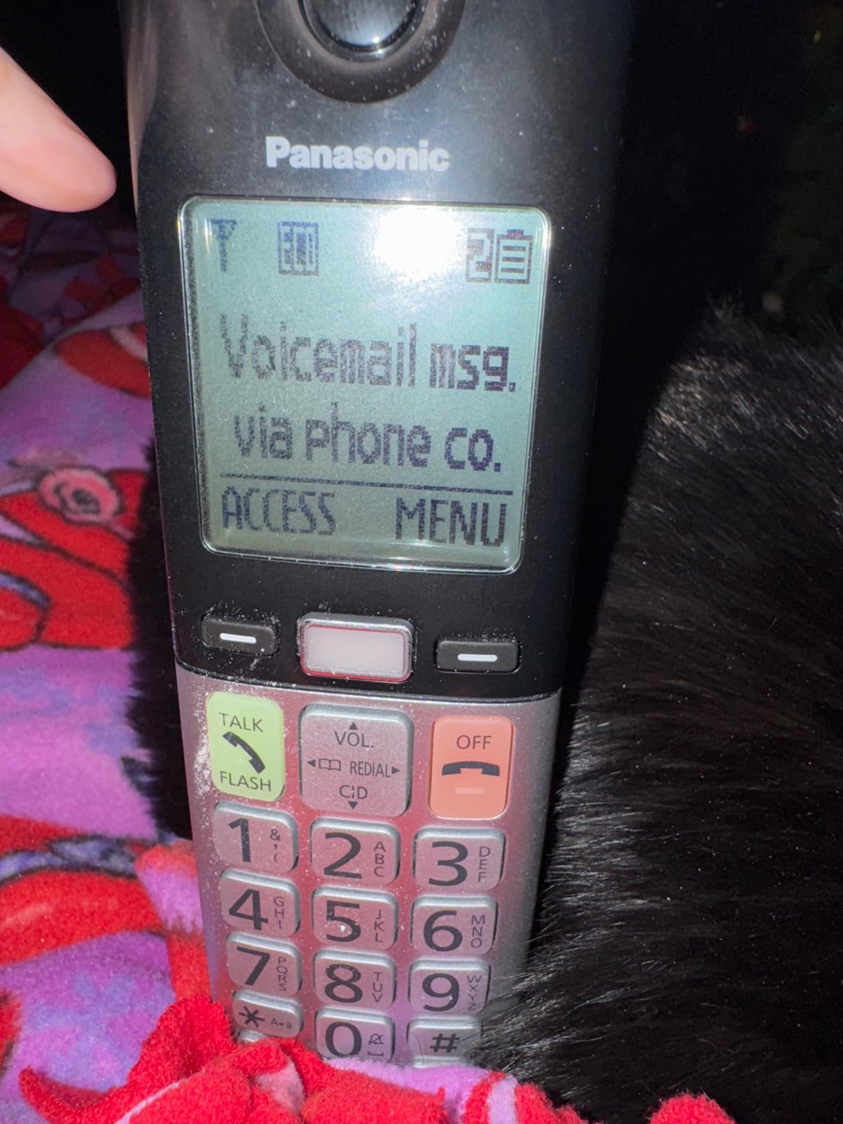 Panasonic Cordless Phone, Easy to Use with Large Display and Big Buttons, Flashing Favorites Key, Built in Flashlight, Call Block, Volume Boost, Talking Caller ID, 2 Cordless Handsets - KX-TGU432W customer photo 1