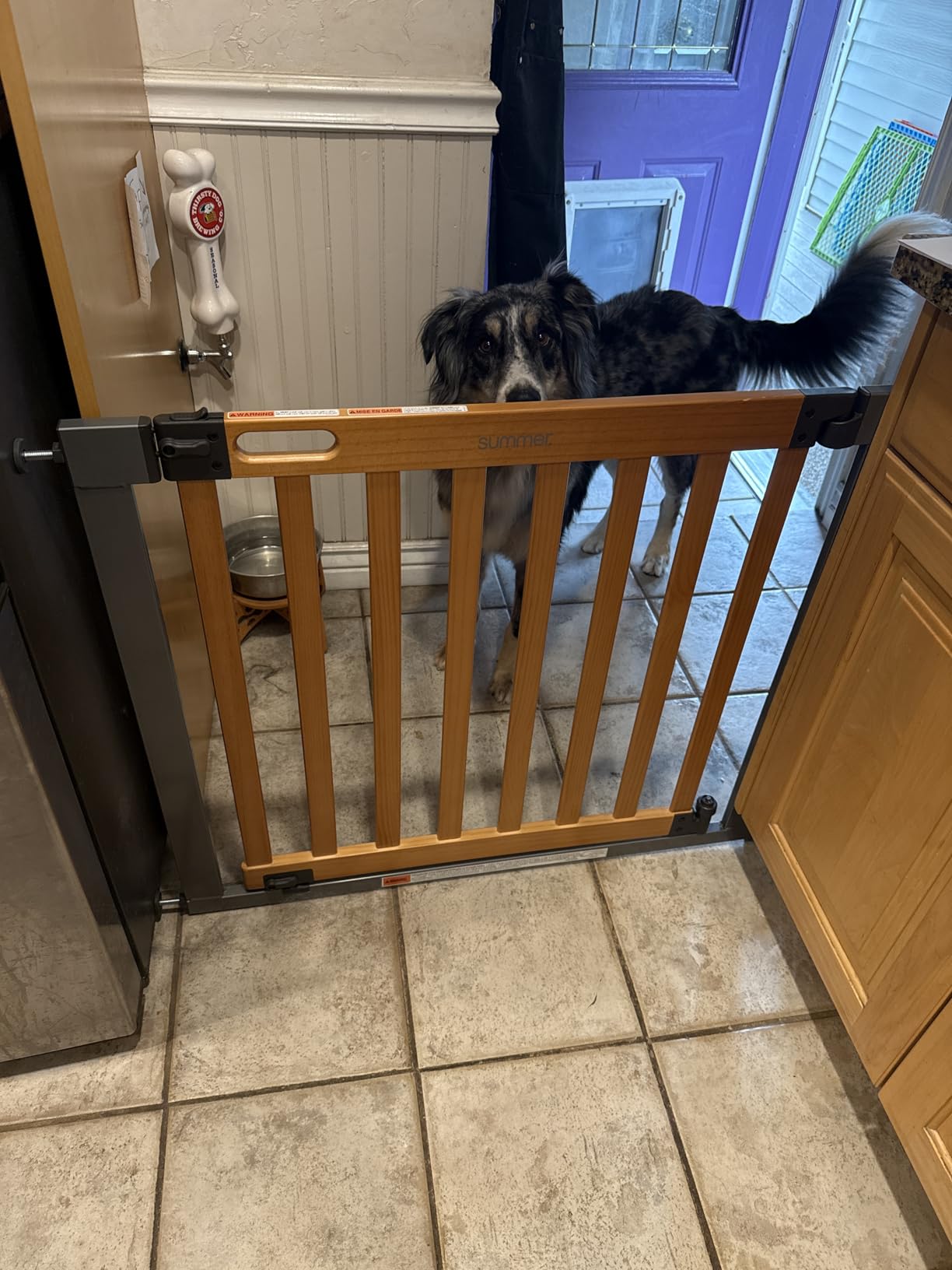 Ingenuity Ingenuity Thruway 60XW Series Extra Wide Safety Pet&Baby Gate,30