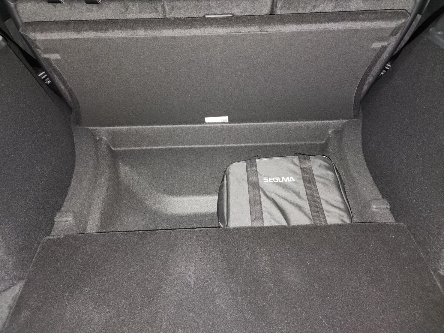 SEGUMA Level 1/2 Tesla Charger, 12A 120V w 5-15Plug &16A 240V w 6-20 Plug customer photo 2
