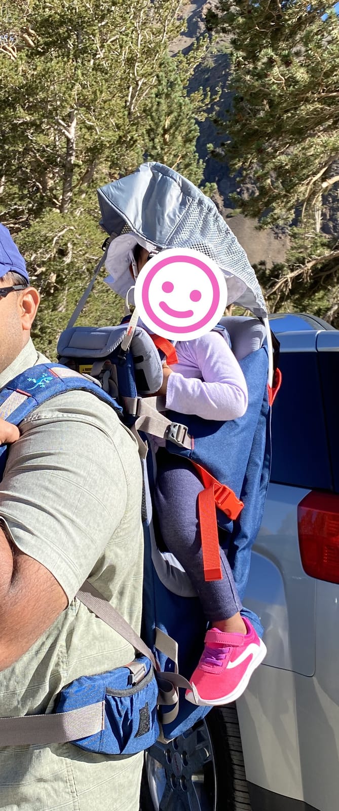 WIPHA Toddler Hiking Backpack Carrier, Lightweight Child Carrier Sunshade customer photo 1