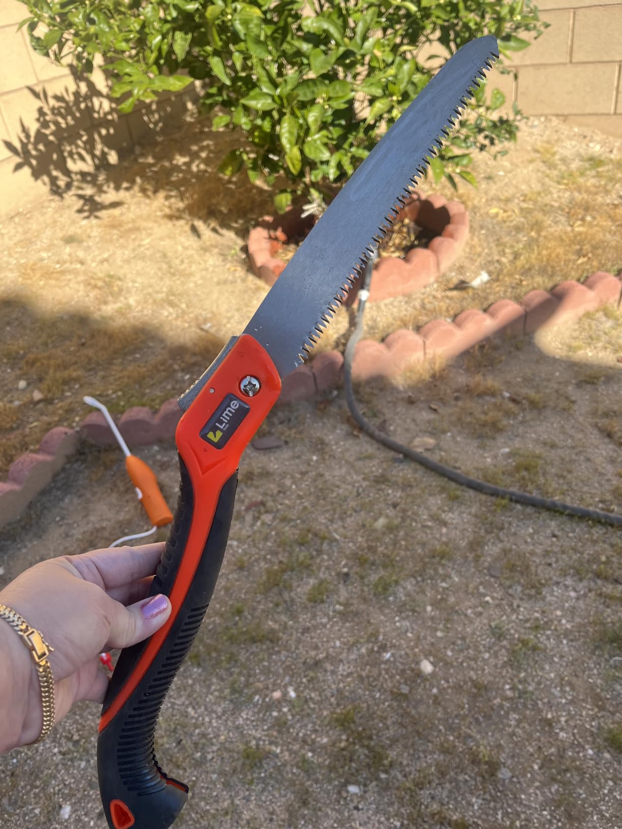 Folding Camping saw 11 Inch - Heavy Duty Pruning Saw with Triple-Cut SK5 Blade, 7 TPI Razor Teeth for Tree Trimming, Wood Cutting, Camping, Bushcraft, and Gardening customer photo 2