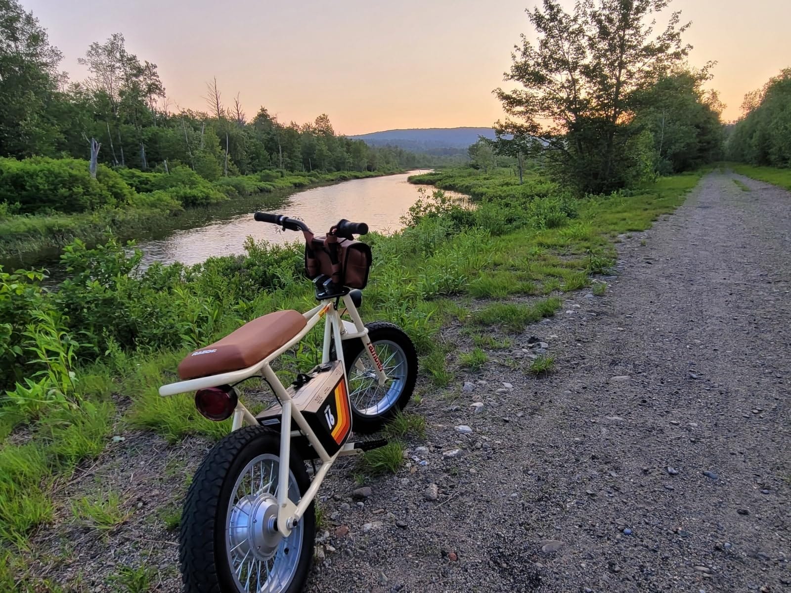 Razor Rambler 16 Electric Retro Mini Bike Ride for Teens Ages 18+, 220 lb Max Weight, Red - 350W Motor, Up to 15.6 Mph, 45-Min Run Time, Twist-Grip Throttle, Spoked Wheels w/ 16