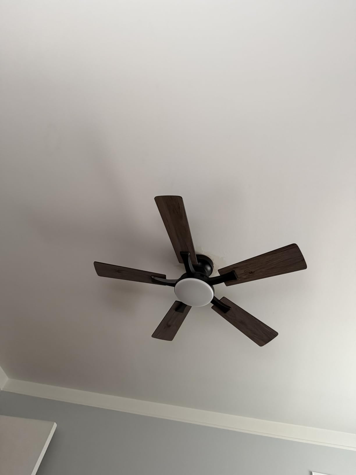 ZMISHIBO 52 Inch Ceiling Fans with Lights, Remote&App Control, Flush Mount | Low Profile, Dimmable 20W LED Light, Quiet Reversible Motor, Strong Airflow, Easy Install for Bedroom/Living Room/Apt, Black customer photo 2