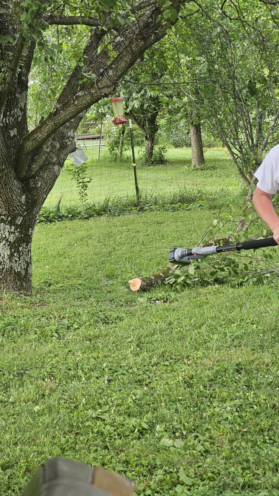 TaskStar 2-in-1 Pole Saw for Tree Trimming, 8-Inch Cordless Brushless Chainsaw with Adjustable Extension Pole, 2×4.0Ah Rechargeable Batteries & Charger, Auto Oiling, 15 Ft Max Reach customer photo 2