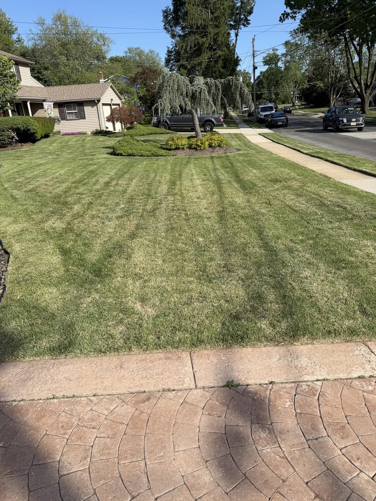 Sun Joe Corded Dethatcher & Scarifier with 13.2-Gal Bag, AJ808E customer photo 1
