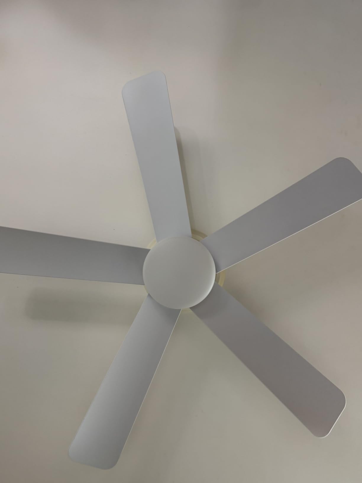Depuley Modern Ceiling Fan with Light: 42-Inch White Small Fans for Bedroom Indoor Outdoor - Dimmable Low Profile Ceiling Fans with Remote Control Flush Mount 5 Reversible White Blades 6 Speeds Timer customer photo 1
