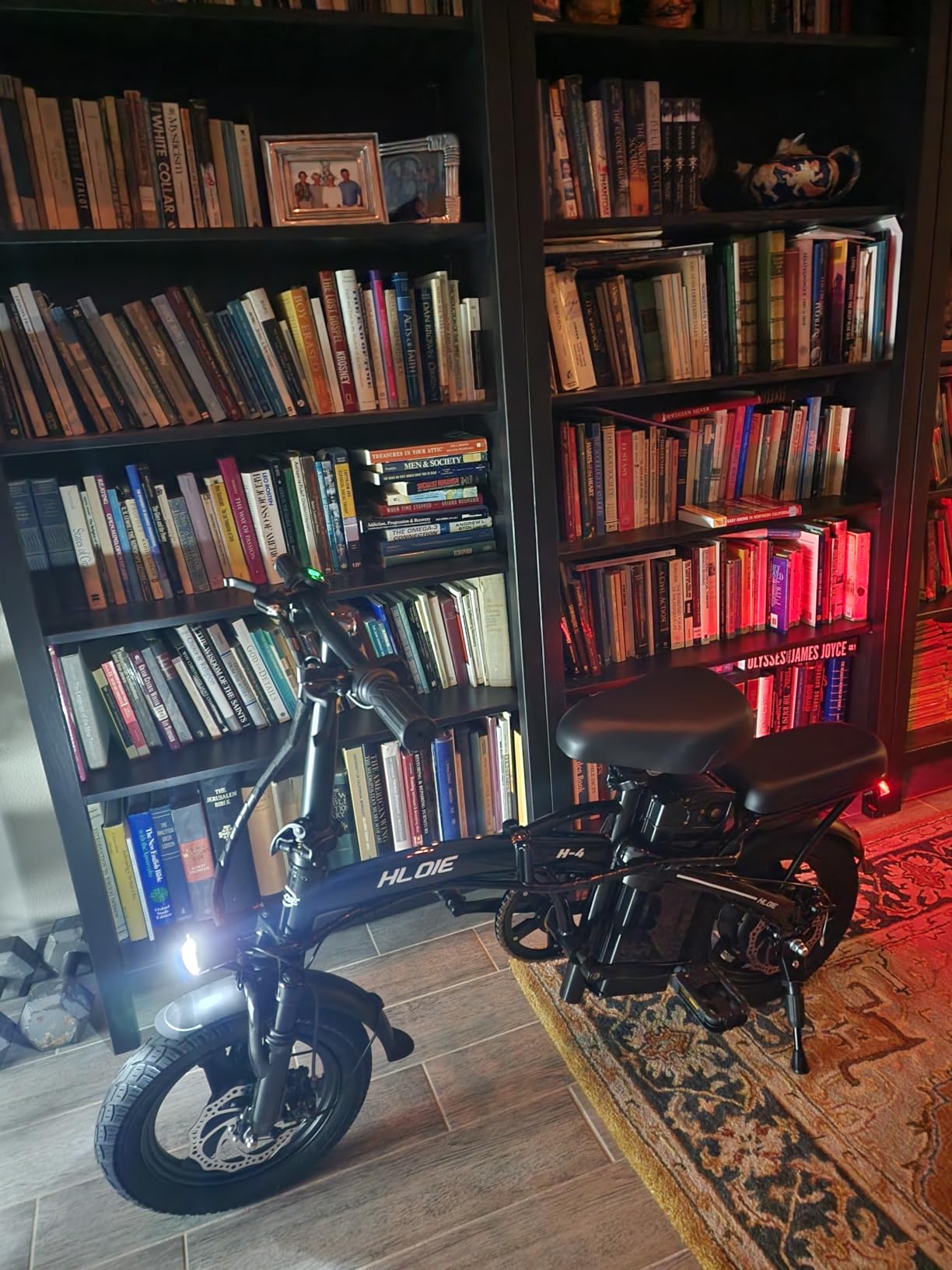 HLOIE Folding Electric Bike for Adults, Peak 750W Motor,20MPH Max Speed Foldable Electric Bicycles,14
