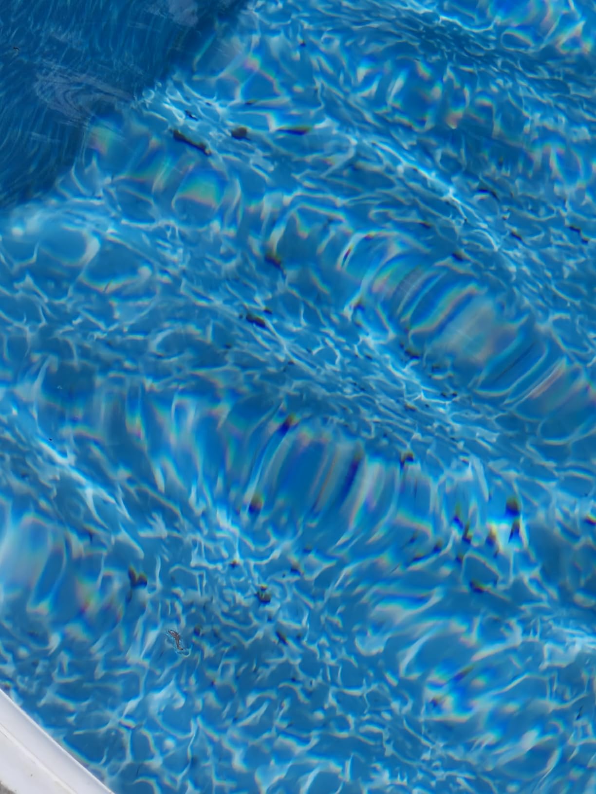 WYBOT C1 Cordless Robotic Pool Vacuum for Inground Pools customer photo 1