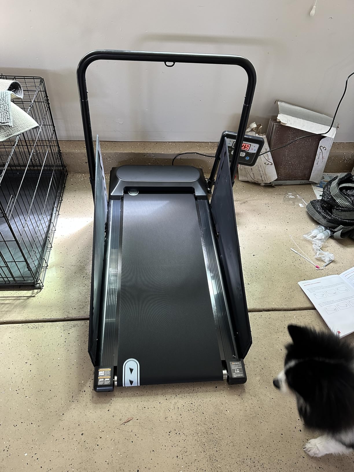 Petbobi Dog Treadmill for Small & Medium Dogs Quiet Motor Indoor Exercise customer photo 2