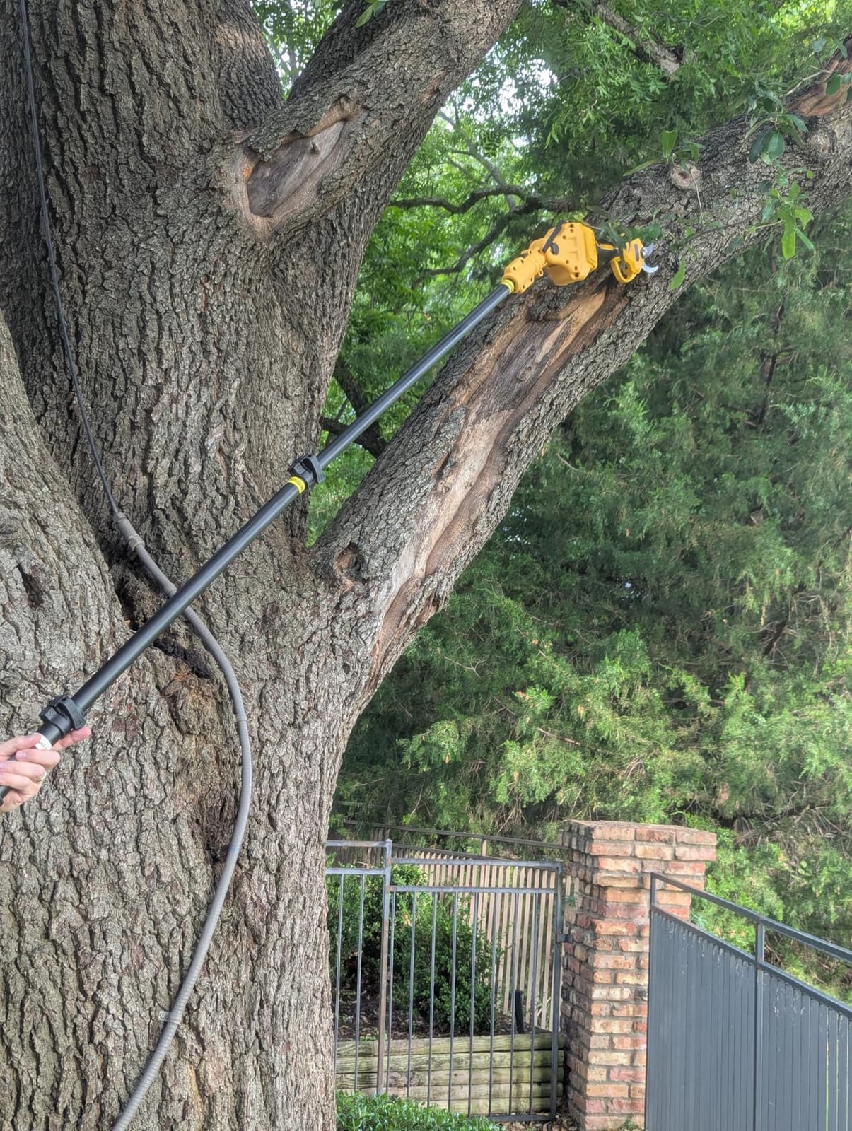 4-in-1 Cordless Pole Saw & Electric Pruning Shears for DeWalt 20V Battery customer photo 2