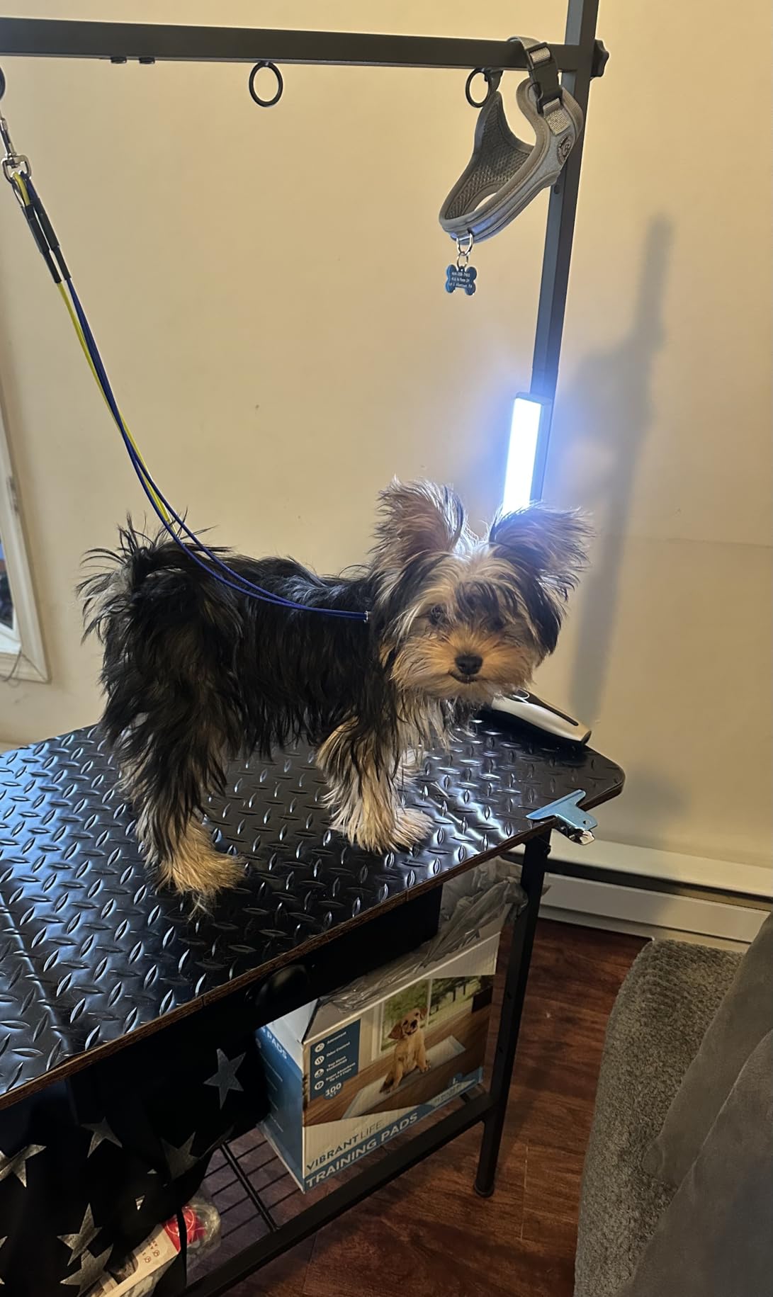 Dog Grooming Table with Drawers and Mesh Tray, 32 Inch Adjustable Pet Grooming Table with Non-slip Removable Washable Mat and EVA Protective Lanyard, Professional Grooming Table for small Dogs at Home customer photo 2