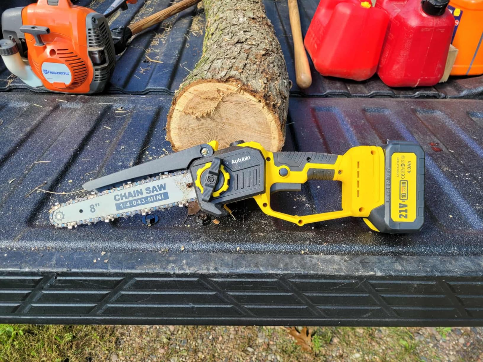 2-in-1 Cordless Pole Saw & 8'' Mini Chainsaw with Extension Pole for Tree Trimming (Cyan Blue-8inch4.0Ah) customer photo 1