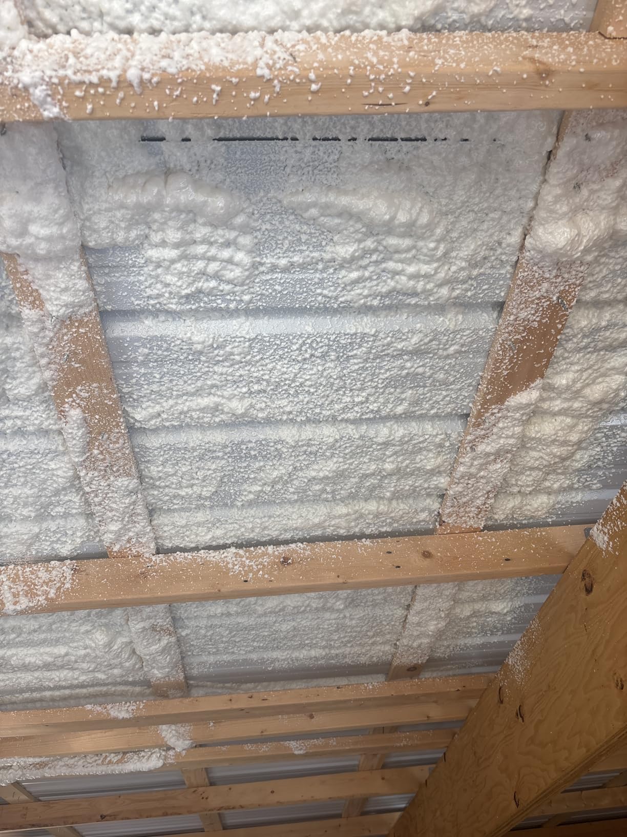 Spray Foam Insulation Kit, Expanding Foam Sealant Spray, 18 Pack x 26.46 oz customer photo 2