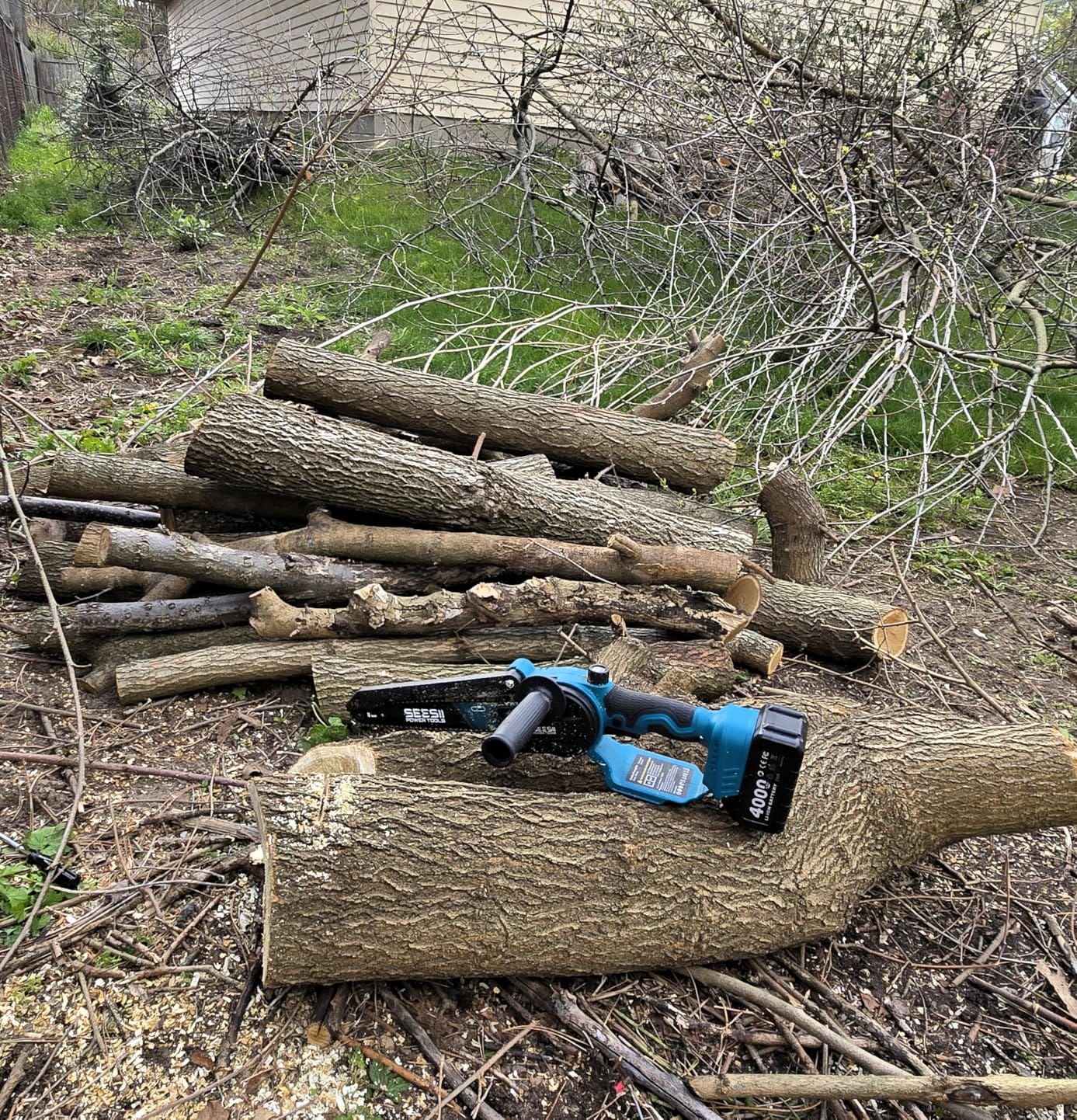 SEESII 8 Inch & 6 Inch Mini Chainsaw Cordless with 2 Batteries & Auto Oiler customer photo 1