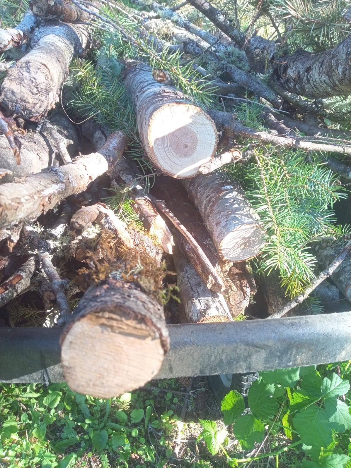 SEESII 8 Inch & 6 Inch Mini Chainsaw Cordless with 2 Batteries & Auto Oiler customer photo 2