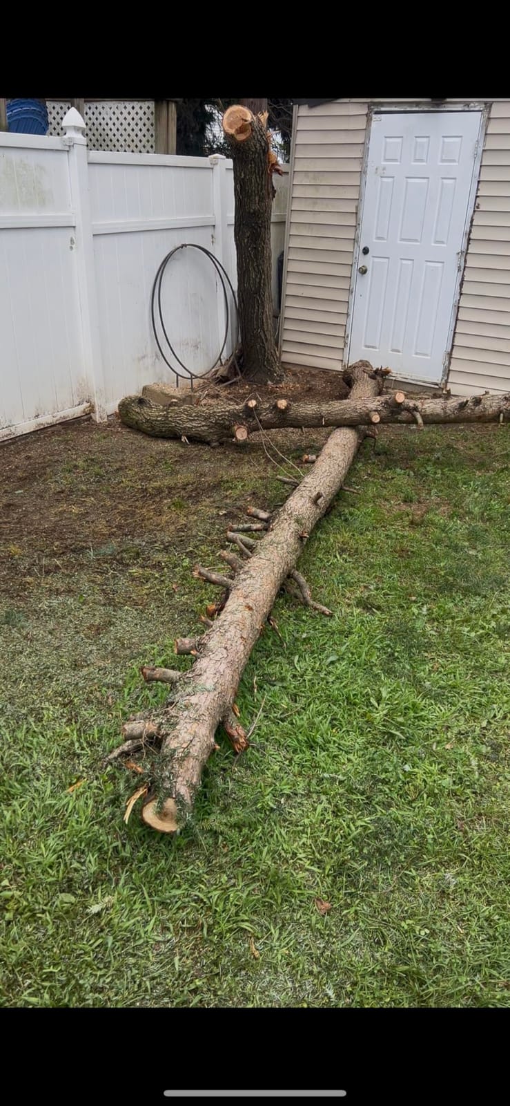 6-Inch Electric Pole Saws for Tree Trimming, 2-in-1 Cordless Mini Chainsaw customer photo 2