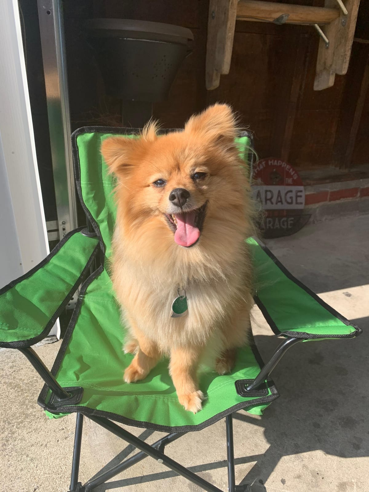 Pacific Play Tents - Kids Folding Chair, 100 lbs. Weight Capacity - Sapphire Blue customer photo 2