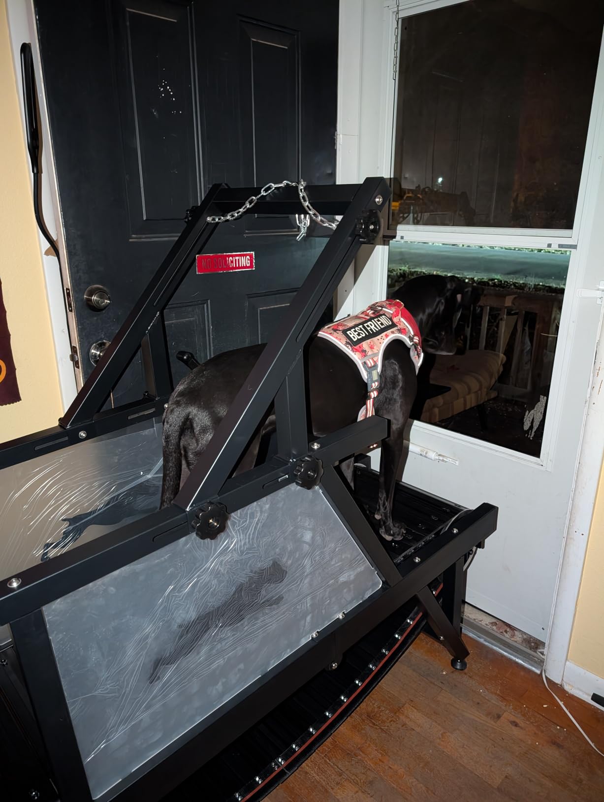 Dog Treadmill, HotFeed Dog Slat Mill for Medium Dogs, Doggy Treadmill with Brake & Plastic Track, Dog Pacer Treadmill to Keep Active and Fit, Up to 300LBS customer photo 1