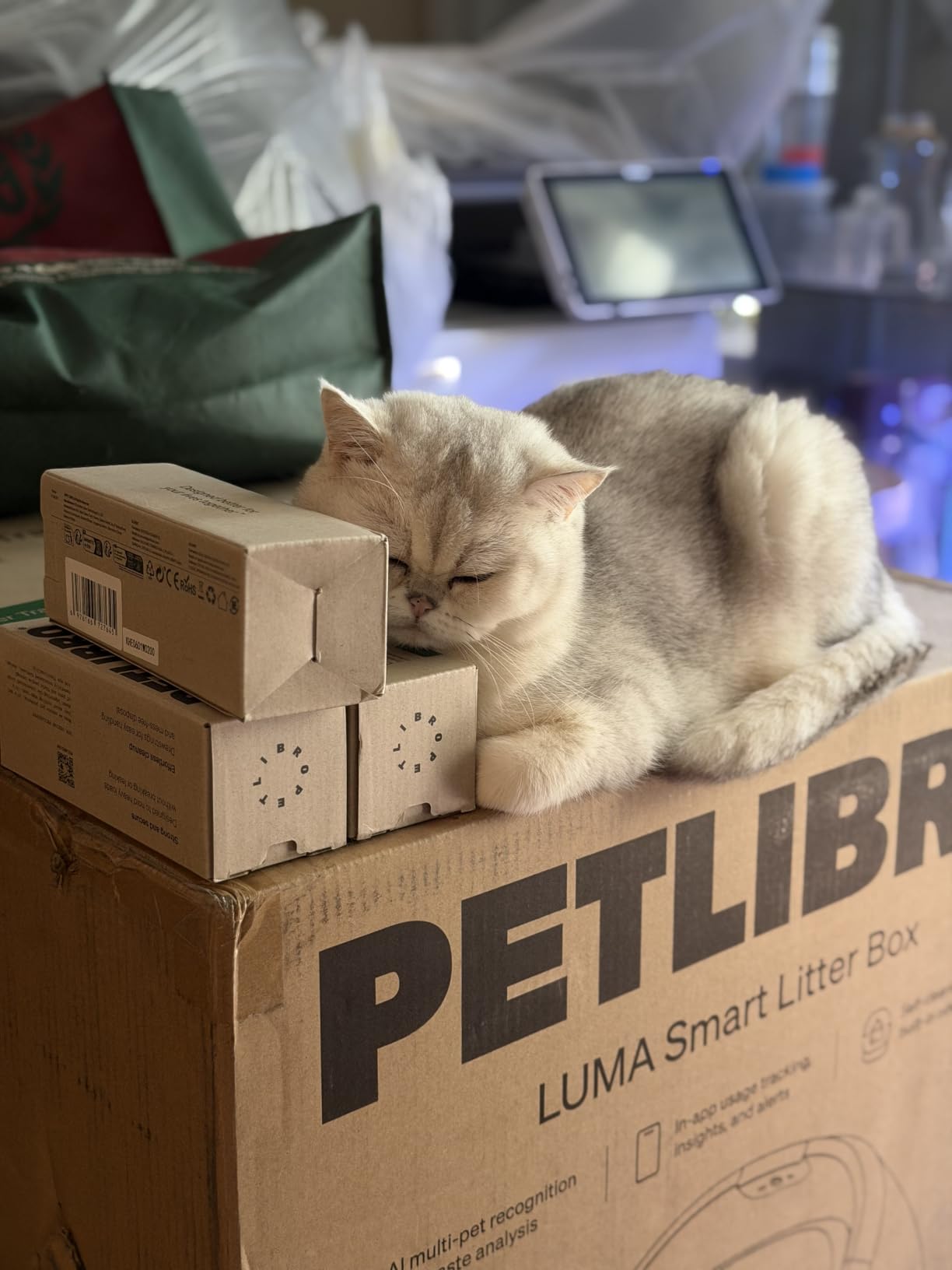 PETLIBRO Automatic Litter Box with AI-Camera Waste Analysis, Auto Odor-Control Self Cleaning Litter Box, Large Open-Top Luma Smart Litterbox with Multi-Cats Recognition, Usage Tracking, Safety Sensors customer photo 2
