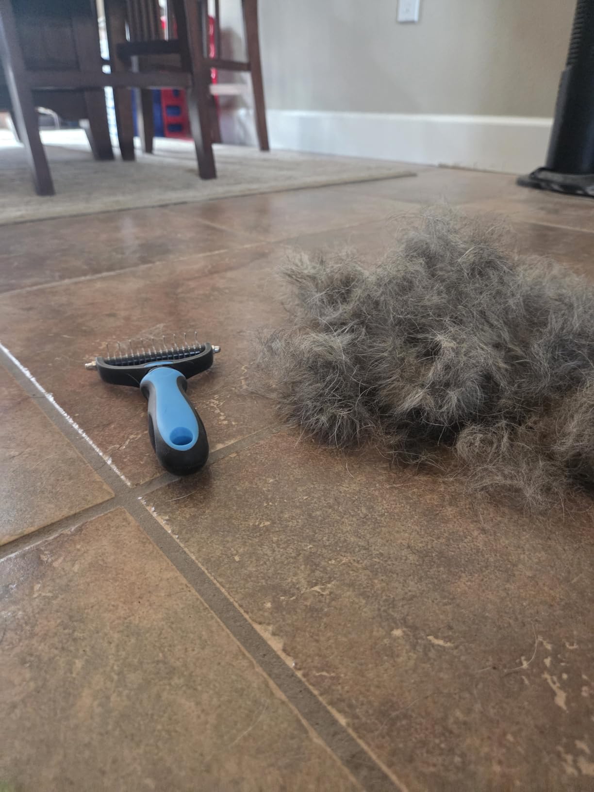 Professional 7 in 1 Pet Grooming kit I Dog Brush & Cat Brush I Dog&Cat Comb I Dog&Cat Nail Clipper/Trimmers with Nail File I Dog Bath Brush I Dog&Cat Flea Comb I Pet Supplies(Deep Blue) customer photo 2