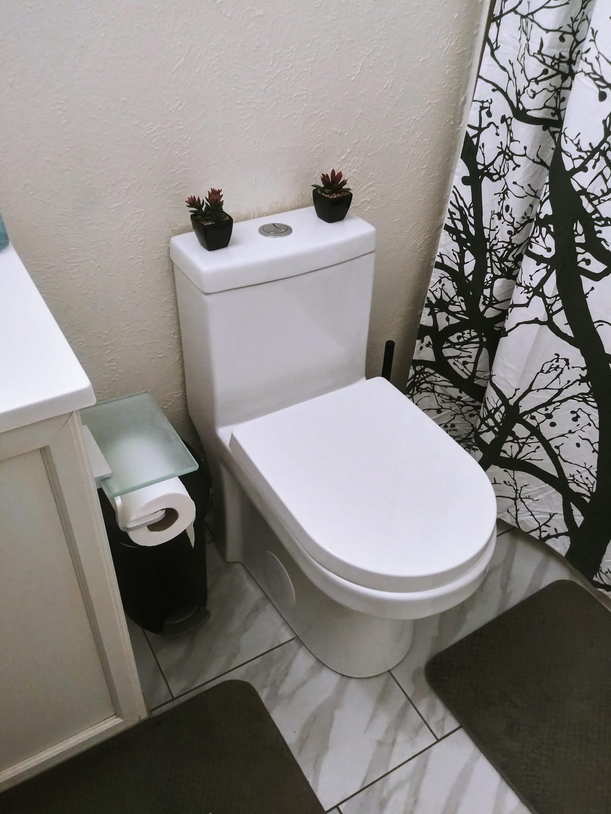DeerValley Compact One Piece Toilet Standard Seat Height for Small Bathroom Dual Flush 1.1/1.6 GPF Powerful and Quiet 12'' Rough-In Skirted Toilet customer photo 2
