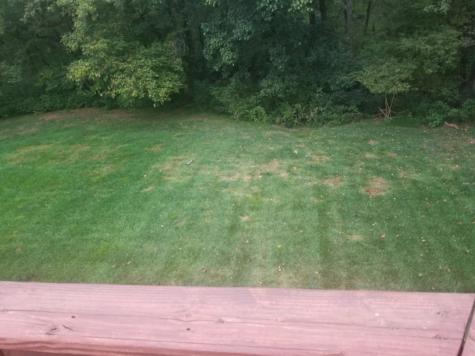 Orbit 1/2 in. Brass Impact Sprinkler with Metal Wheel Base - 56186N customer photo 2