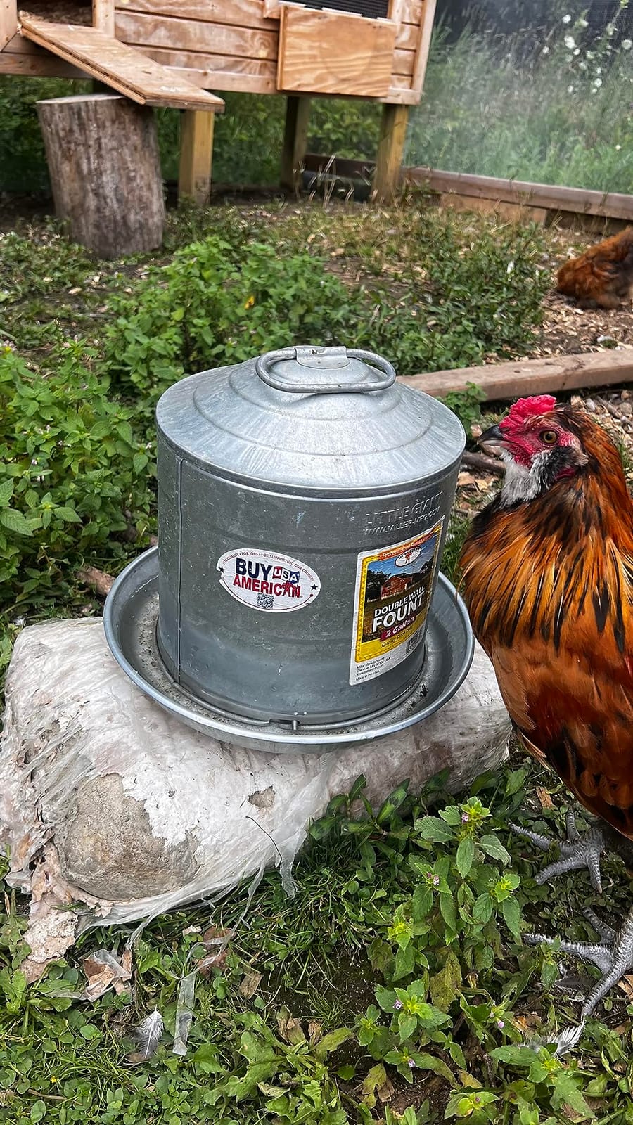 Harris Farms 1000293 Galvanized Hanging Poultry Feeder, 15 lbs, Metal customer photo 2
