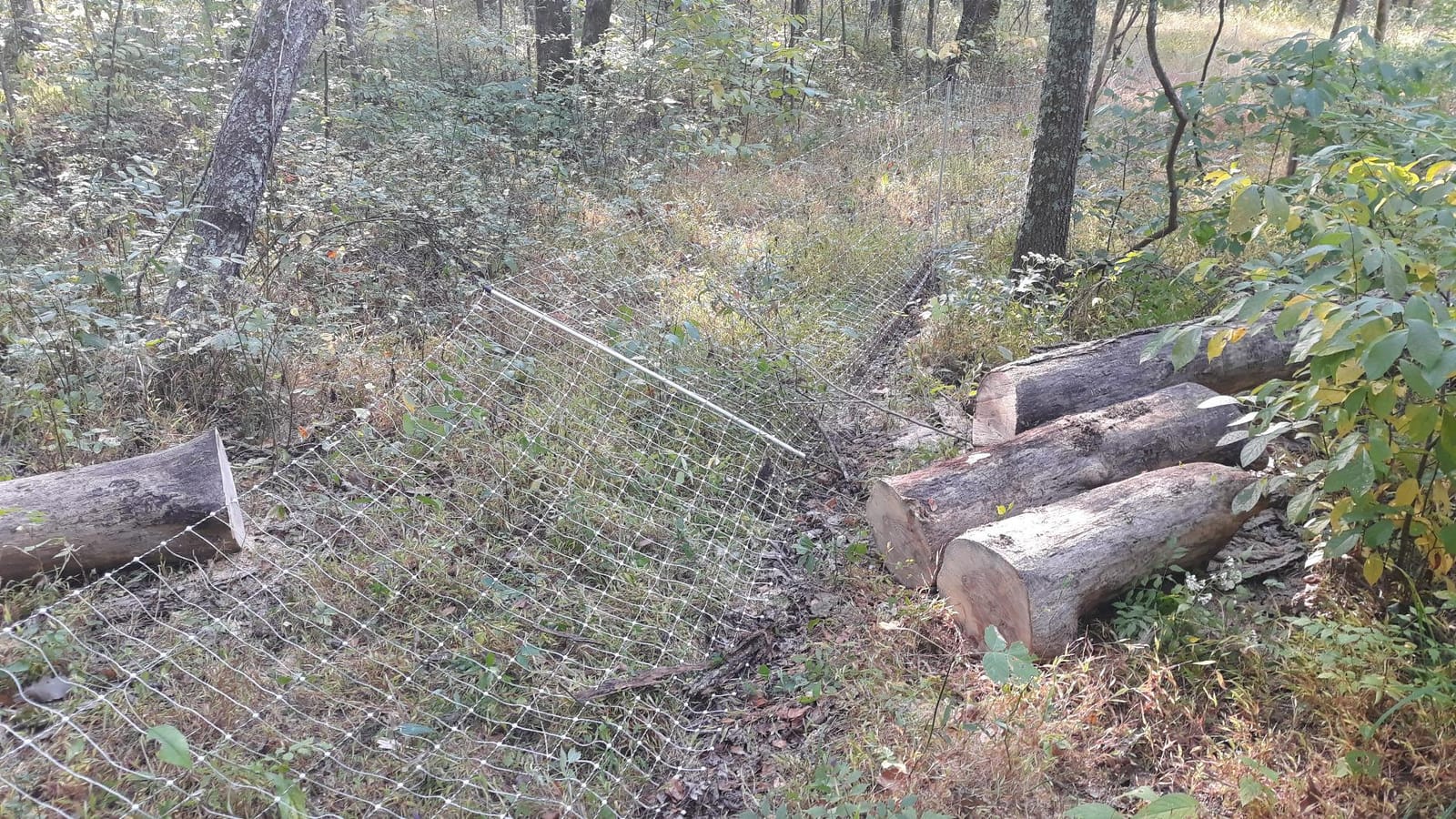 Premier 1 PoultryNet® Electric Fence for Chickens – 48