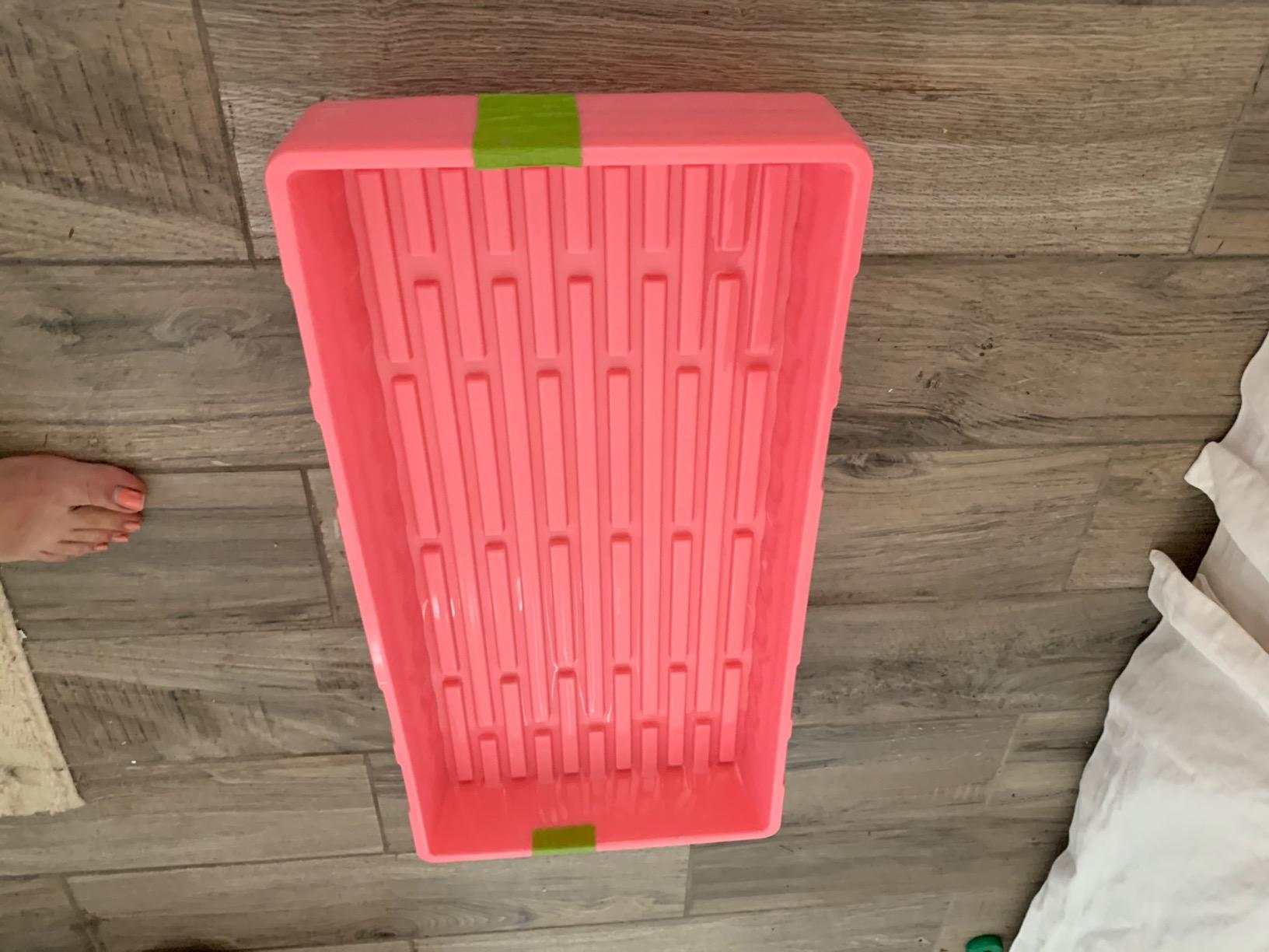 Bootstrap Farmer 1020 Trays (10-Pack), Heavy Duty No-Hole Flats for Microgreens, Fodder & Seedling Propagation - 1.8mm Thick Reusable Plastic customer photo 2