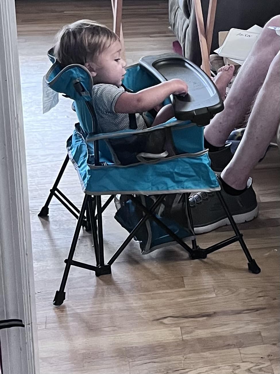 Baby Delight Go with Me Venture Portable Chair | Indoor and Outdoor | Sun Canopy | 3 Child Growth Stages | Grey customer photo 1