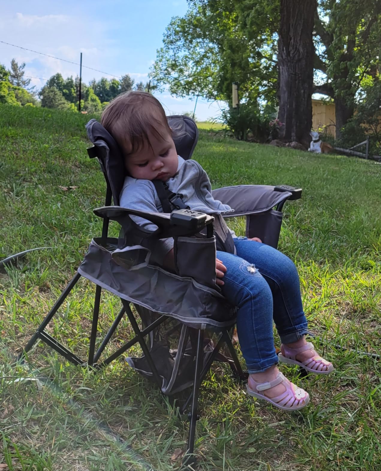 Baby Delight Go with Me Venture Portable Chair | Indoor and Outdoor | Sun Canopy | 3 Child Growth Stages | Grey customer photo 2