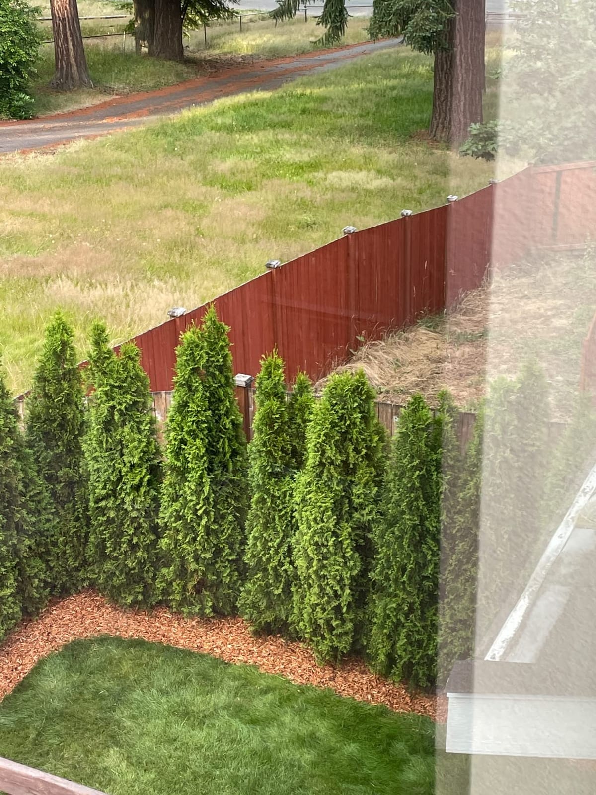 EasyFlex Heavy Duty No-Dig Edging Kit - 100ft., Black customer photo 2