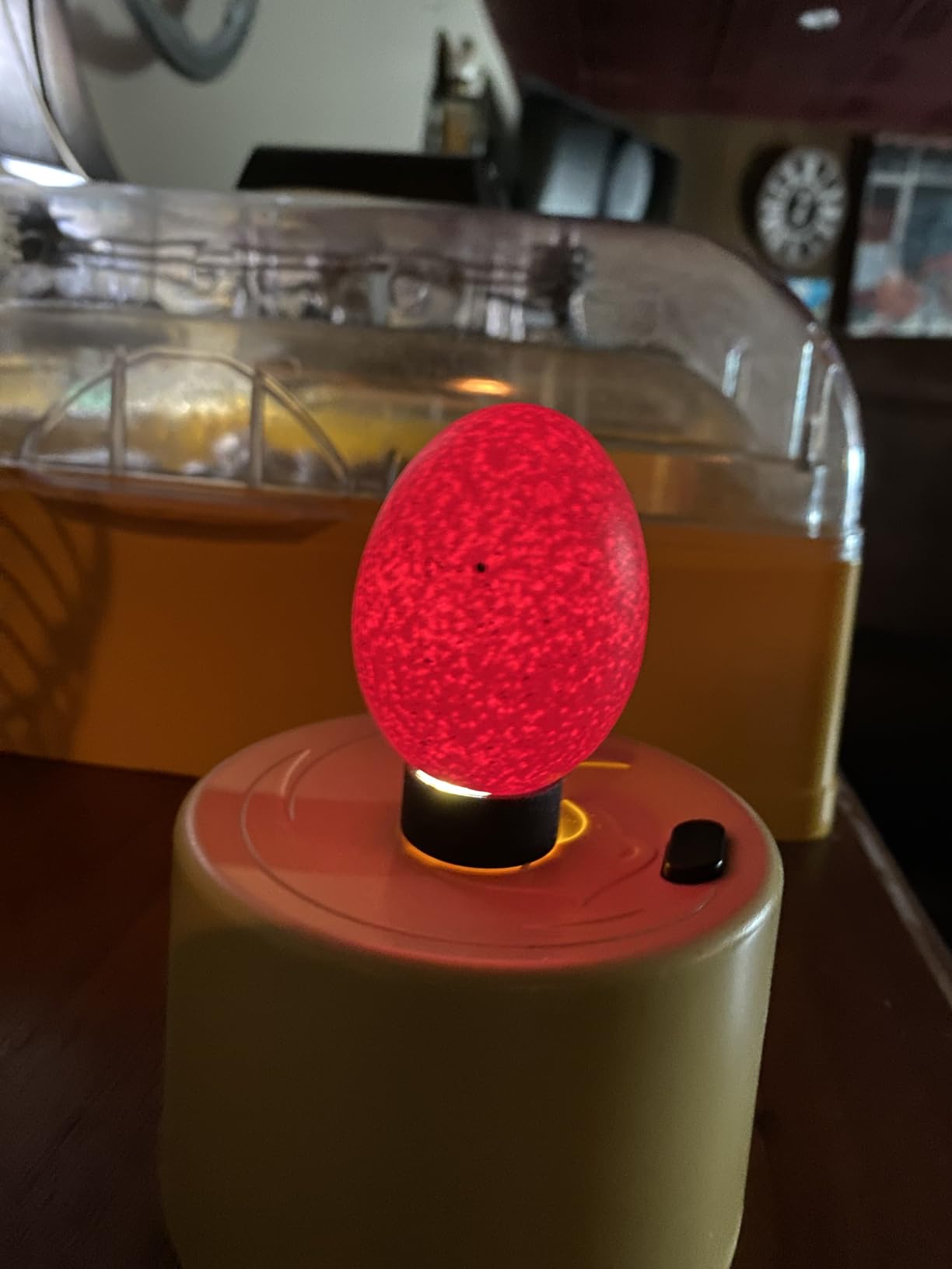 Titan Incubators High Intensity LED Chicken Egg Candler/Tester – Battery Powered customer photo 1