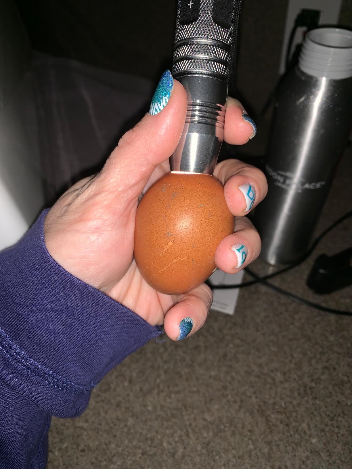 Powerful Professional LED Light Egg Candler Incubator Stainless Steel Tester for All Egg Type, Ultra Bright, Powered Portable, with Full Illustrated Egg Candling Guide (B- Include Batteries) customer photo 1