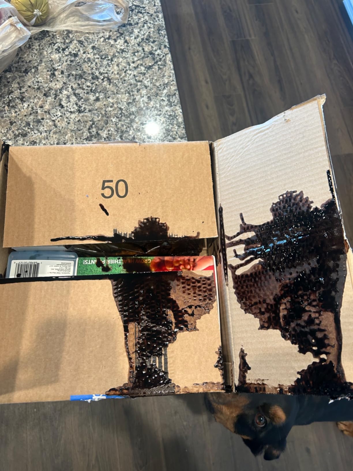 Liquid Lawn Aerator, Loosens and Conditions Compacted Soil, 32oz customer photo 1