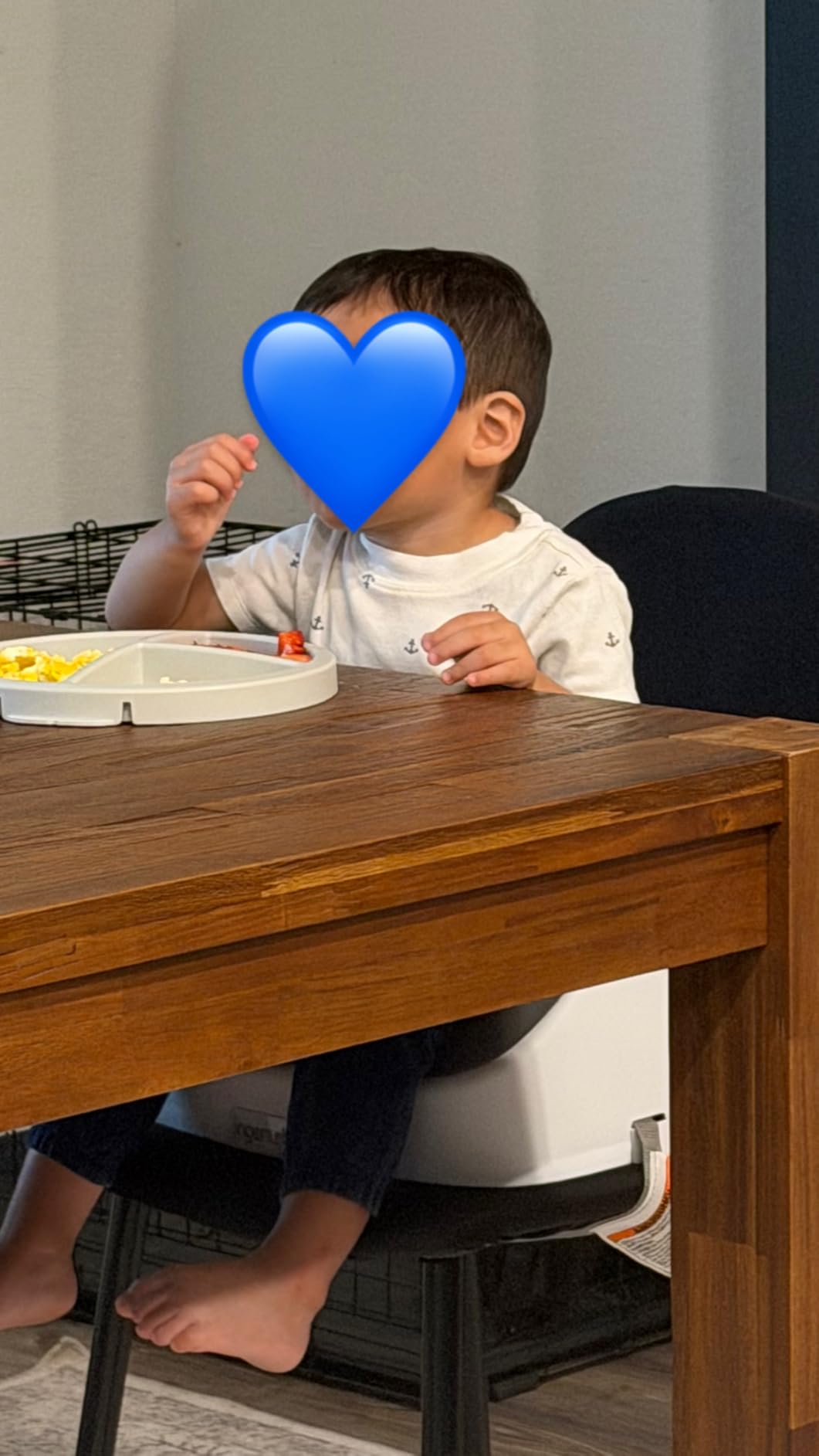 Ingenuity SmartClean Toddler Booster Seat for Kitchen Chair – Lightweight for on-the-go, Easy-Clean, 3-Point Harness Strap – Booster Seat for Dining Table, Slate customer photo 1