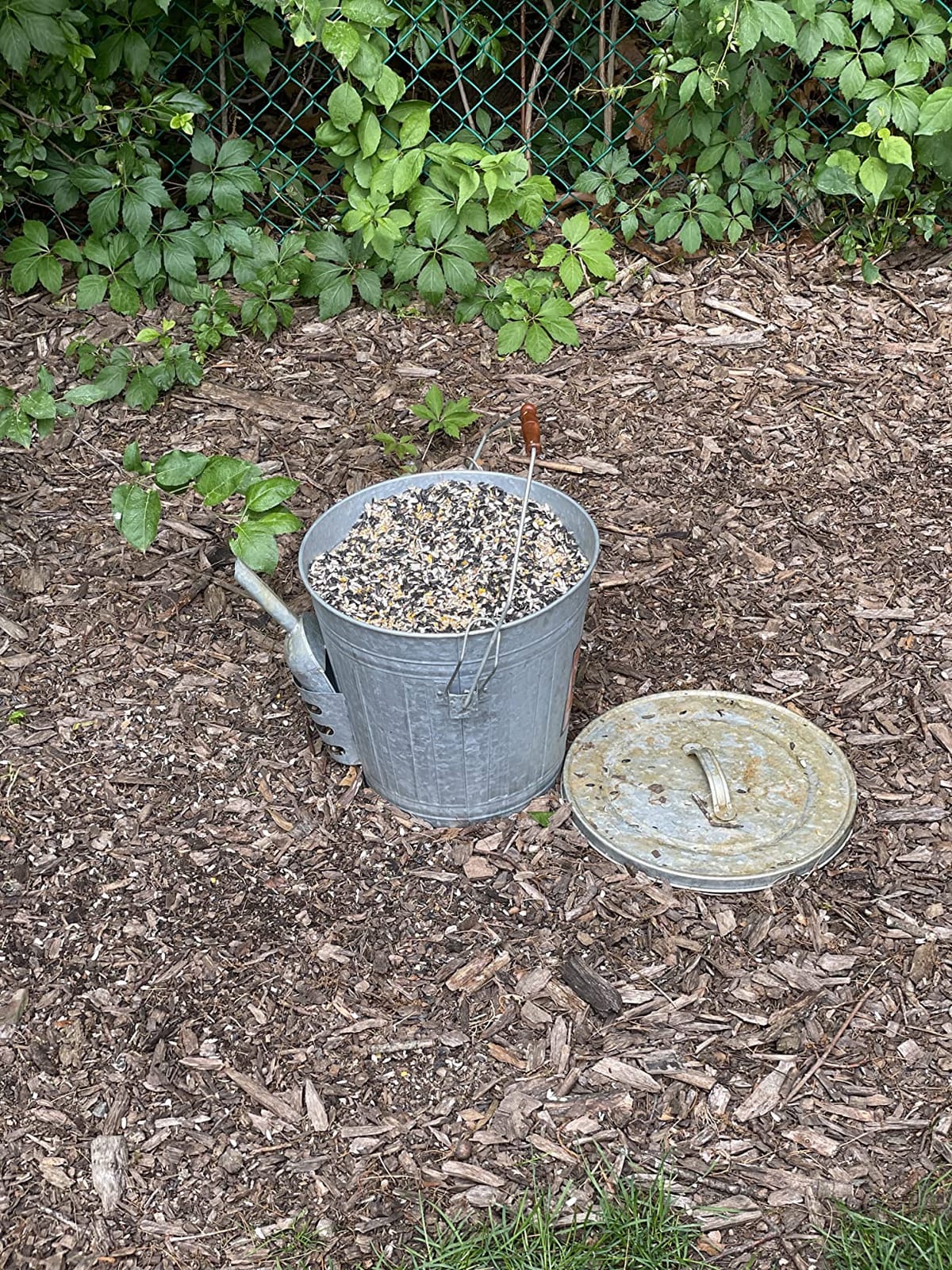 Audubon Woodlink Galvanized Steel Rustic Farmhouse Bird Food and Seed Locking Storage Bucket Bin with Scoop, Holds up to 16.5 Quarts or 25 Pounds customer photo 2