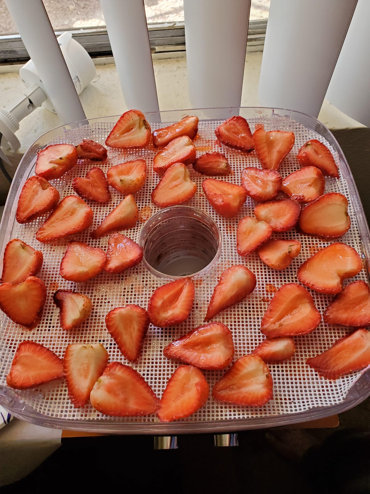 OSTBA Food Dehydrator, 5 Trays, 240W Dryer for Jerky, Fruit & Veggies customer photo 1