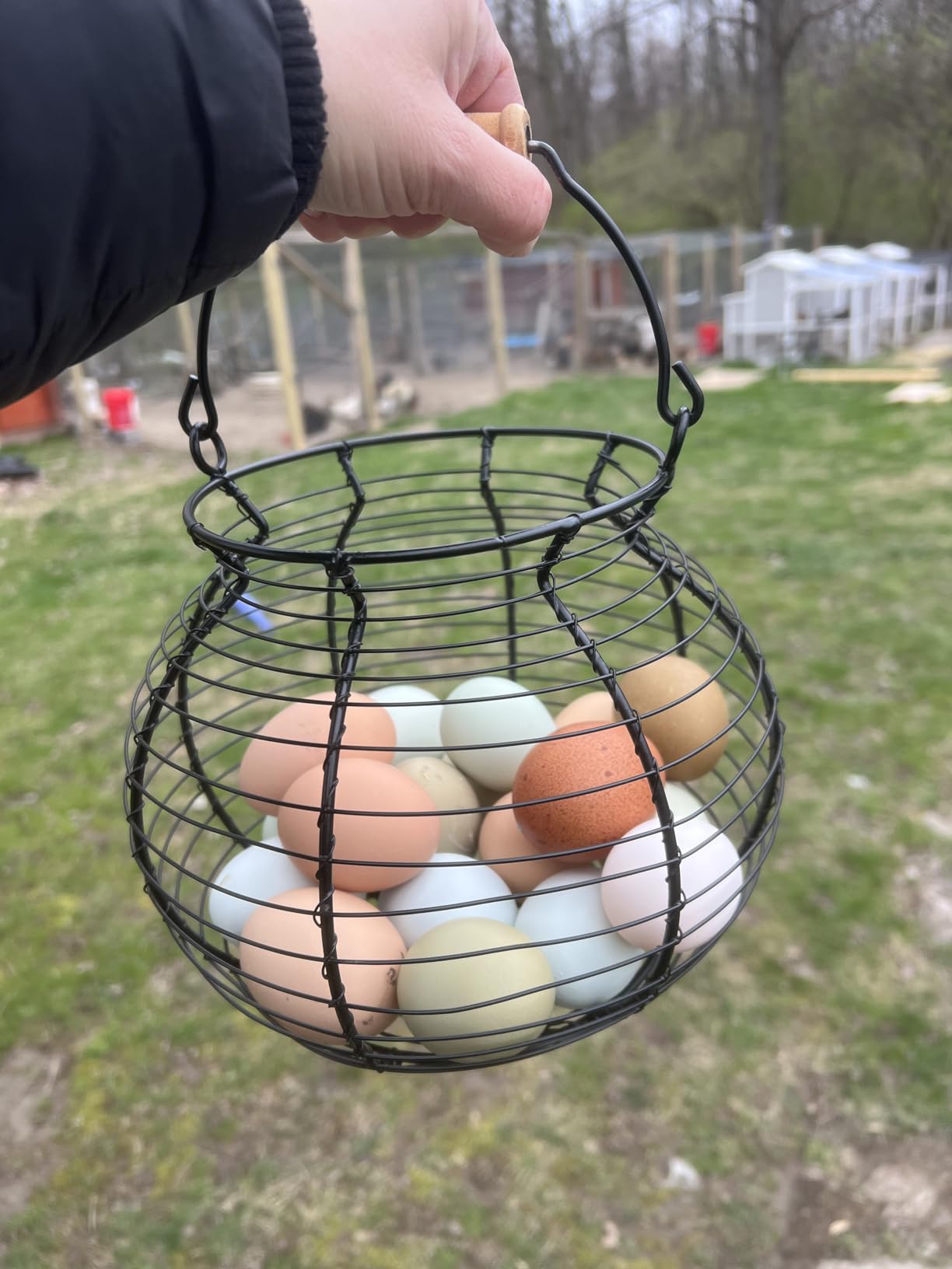 Flexzion Wire Egg Basket for Collecting Fresh Eggs, Black Countertop Holder customer photo 1