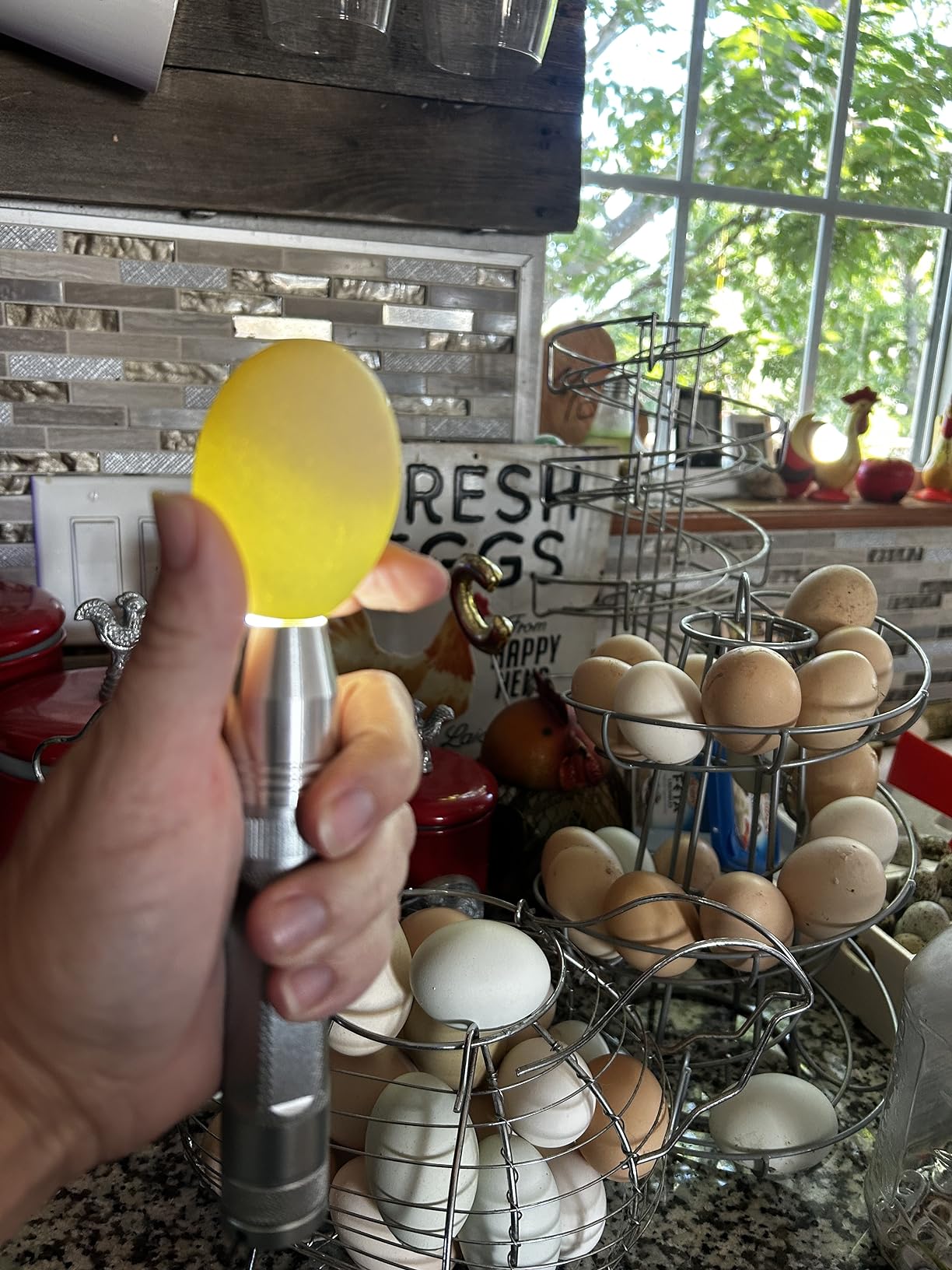 Egg Candler Light Tester Egg Candler Tester Candling Lamp for All Egg Typy customer photo 2