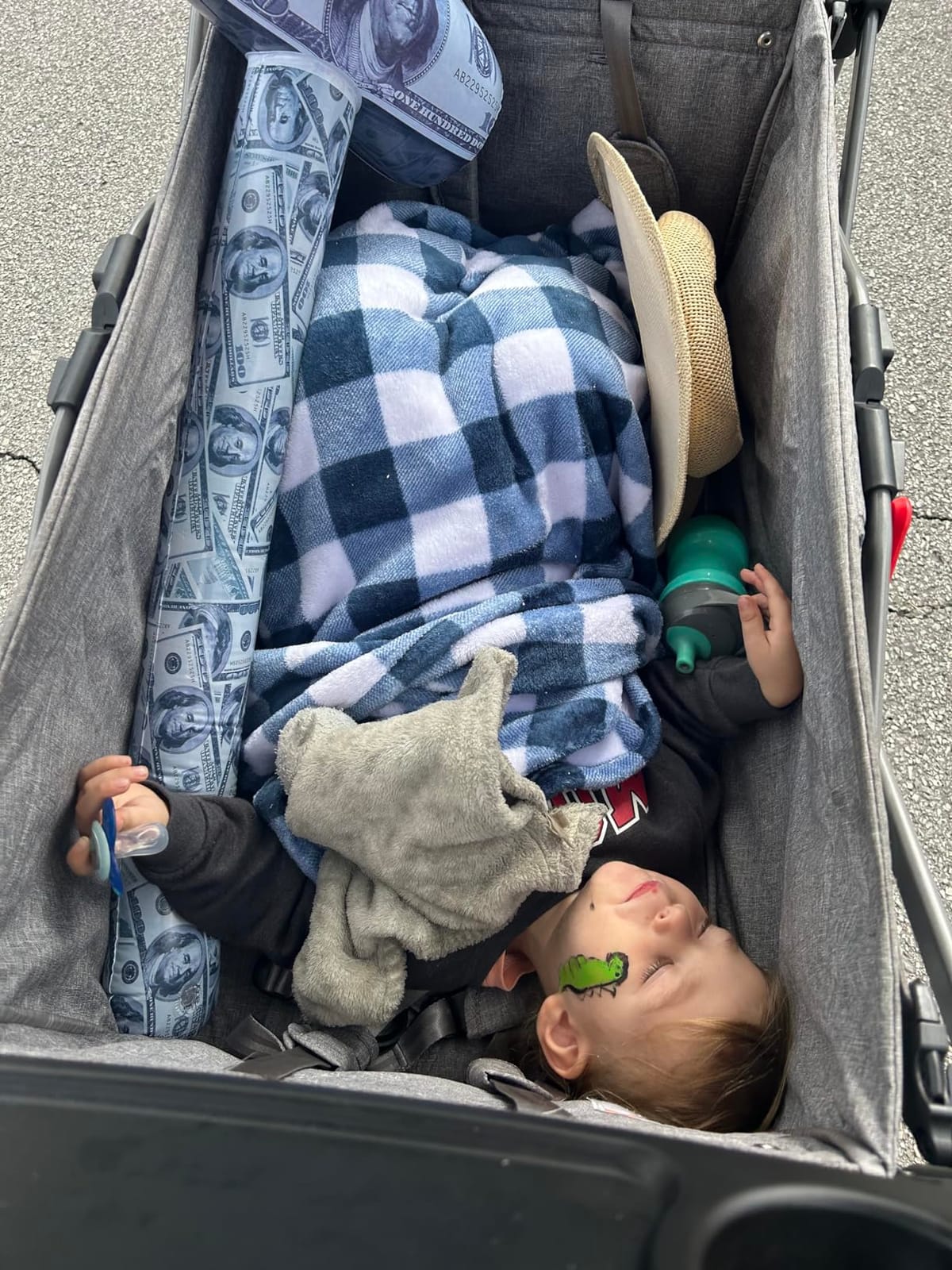 EVER ADVANCED Foldable Wagons for Two Kids & Cargo, Collapsible Folding Stroller with Adjustable Handle Bar,Removable Canopy with 5-Point Harness Gray customer photo 1