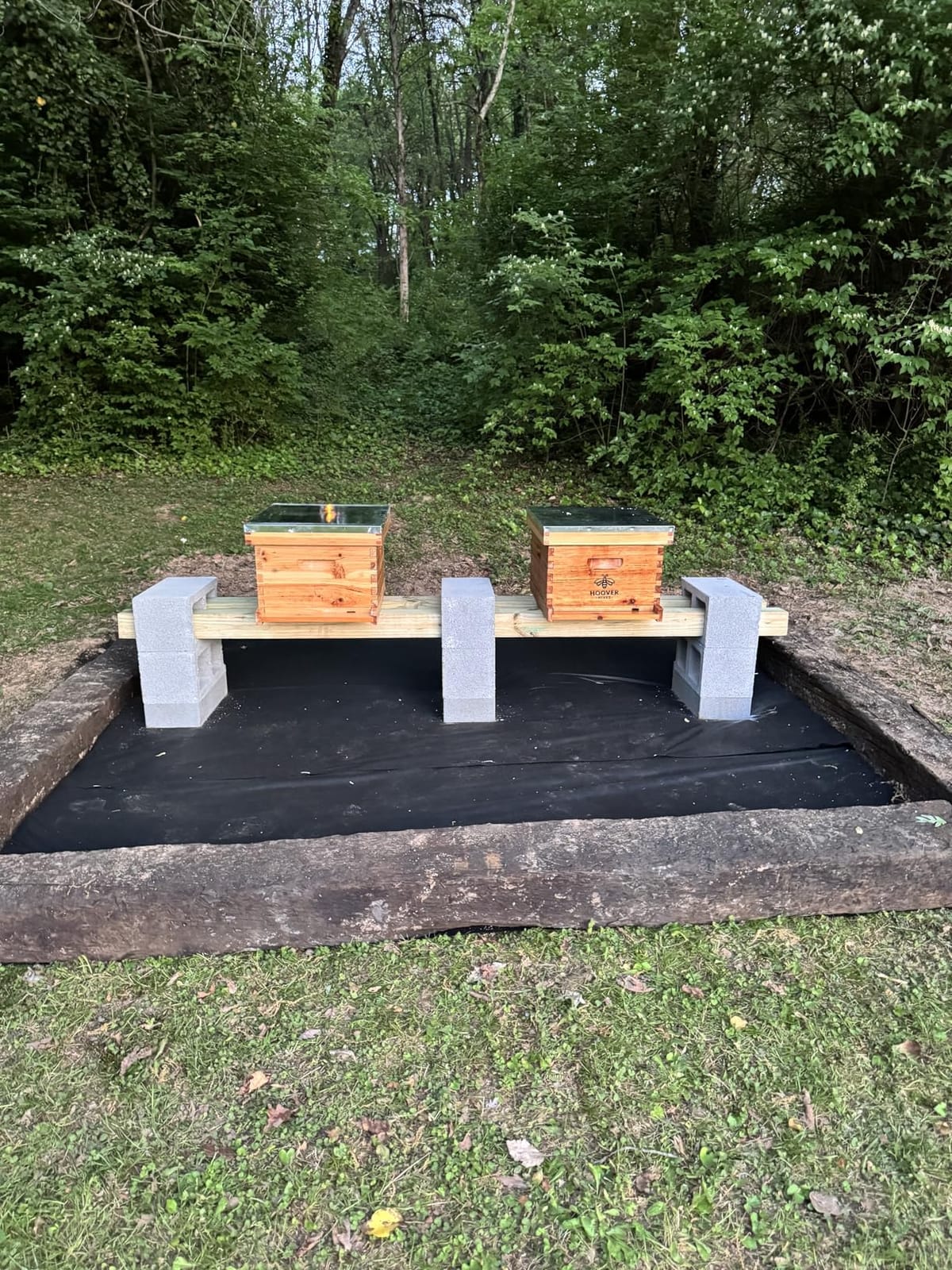 Wax-Coated 10 Frame Beehive - Starter Kit Starter Kit With 5 Frames customer photo 2