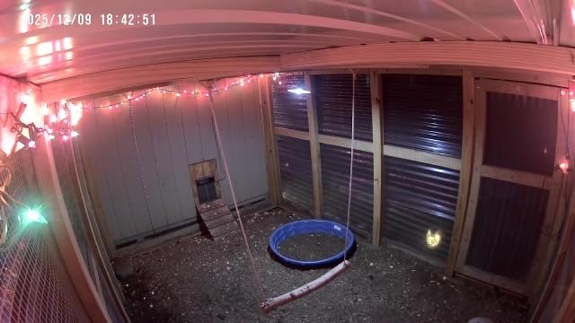 ABZXT Solar Pendant Lights Upgraded Double Bulb Lights IP65 Waterproof Dusk to Dawn Auto Lamp with Remote Controller for Outdoor Shed Barn Chicken Coop Bullpen Pig Pen Stables Tents etc(Dual Lamp) customer photo 1
