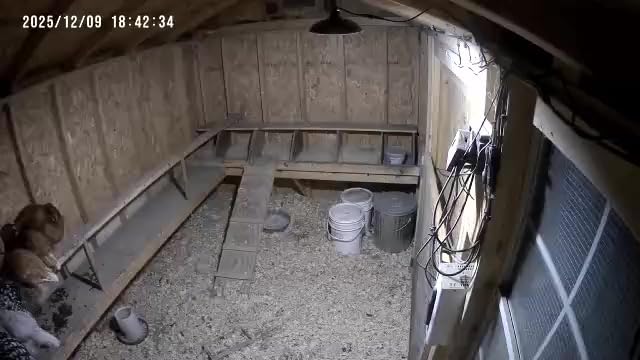 ABZXT Solar Pendant Lights Upgraded Double Bulb Lights IP65 Waterproof Dusk to Dawn Auto Lamp with Remote Controller for Outdoor Shed Barn Chicken Coop Bullpen Pig Pen Stables Tents etc(Dual Lamp) customer photo 2