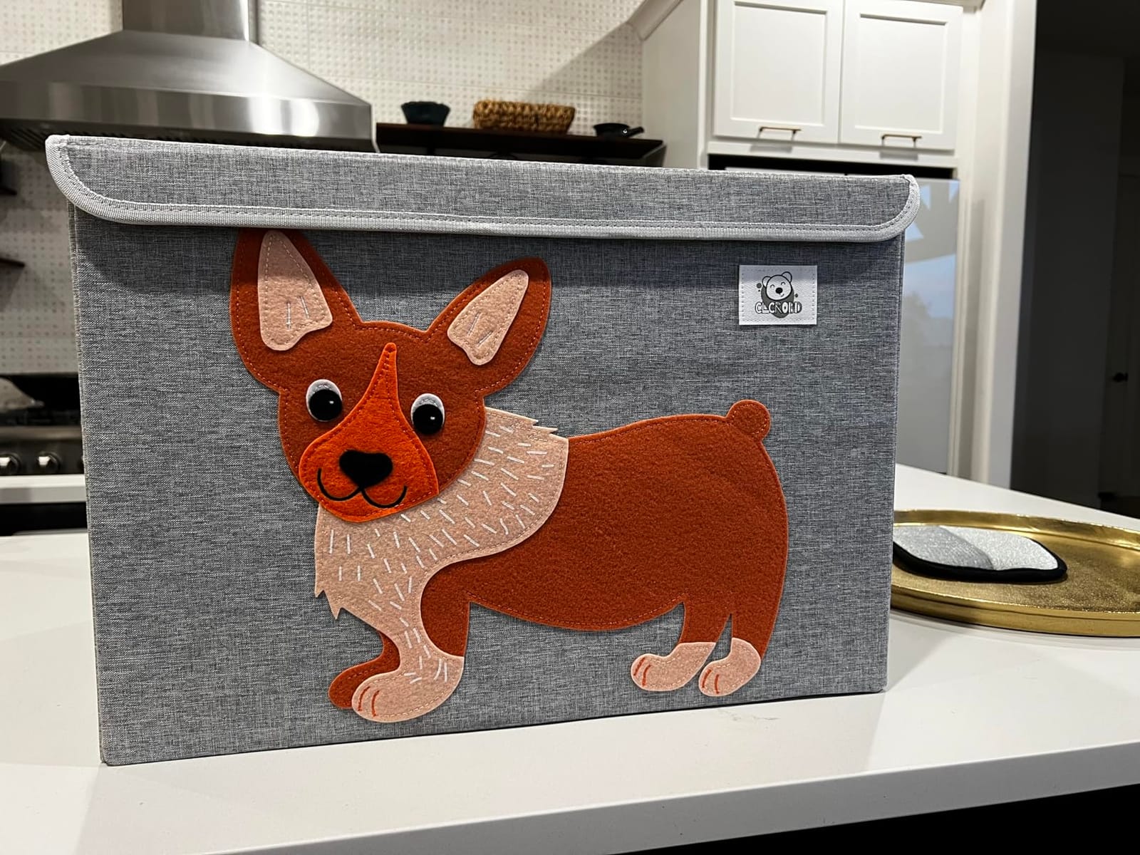 Large Toy Box Storage with Lid, Foldable Fabric Toy Chest Storage for Kids customer photo 2